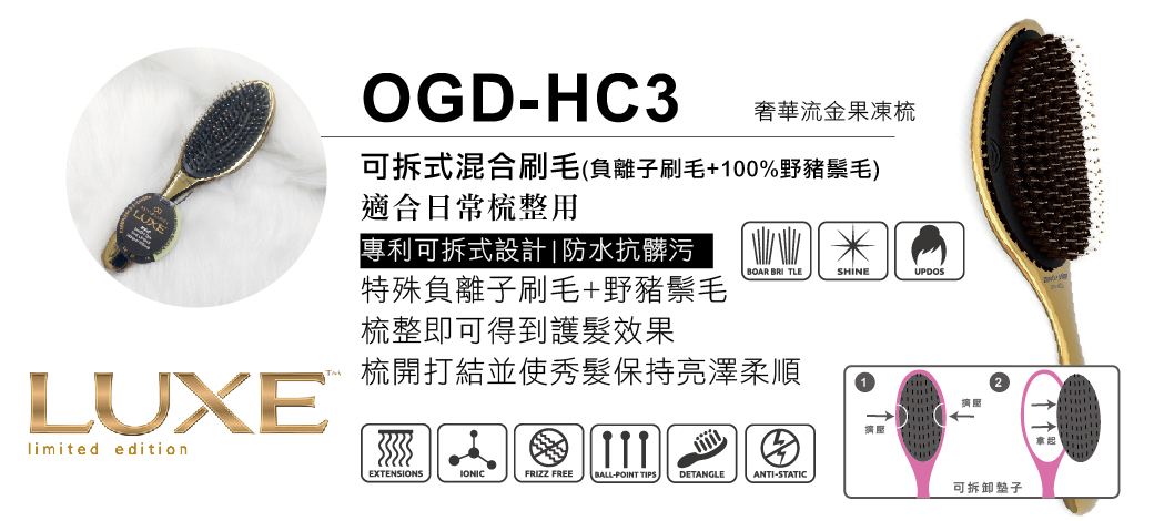 OGD-HC3
