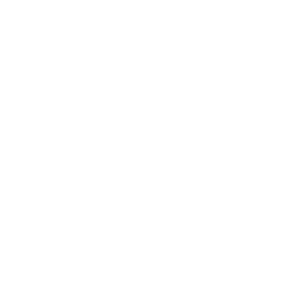 LOGO 02