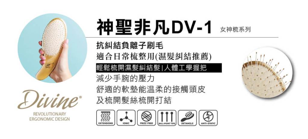 DV 01